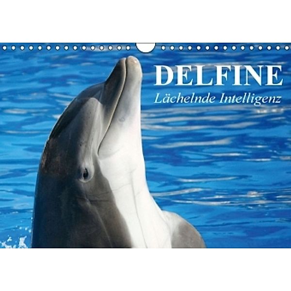 Delfine - Lächelnde Intelligenz (Wandkalender 2016 DIN A4 quer), Elisabeth Stanzer