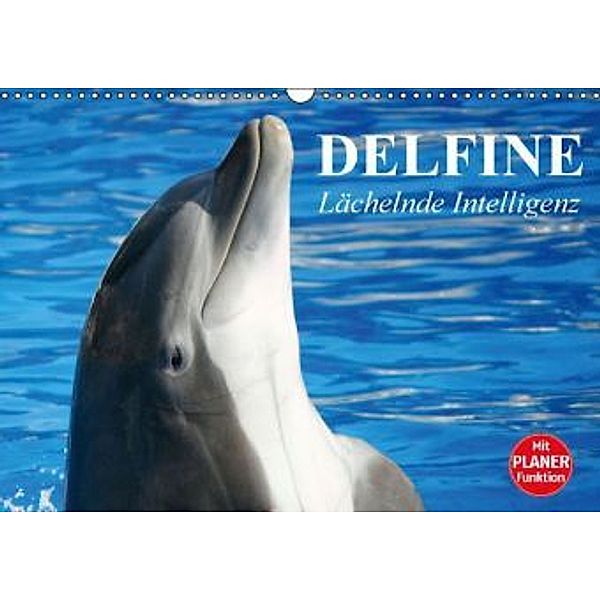 Delfine - Lächelnde Intelligenz (Wandkalender 2016 DIN A3 quer), Elisabeth Stanzer