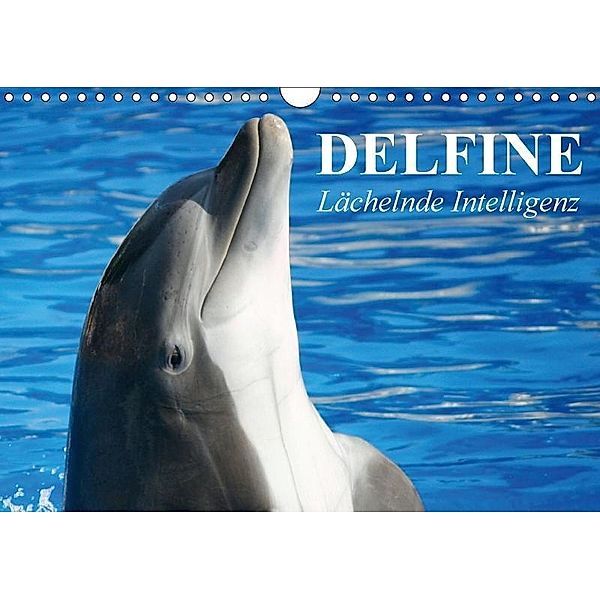 Delfine - Lächelnde Intelligenz (Wandkalender 2017 DIN A4 quer), Elisabeth Stanzer