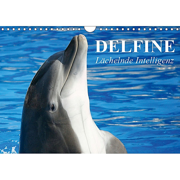 Delfine - Lächelnde Intelligenz (Wandkalender 2019 DIN A4 quer), Elisabeth Stanzer