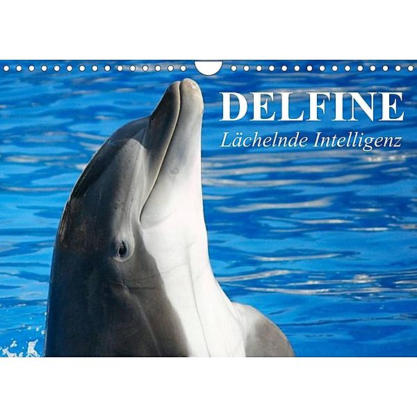 Delfine - Lächelnde Intelligenz (Wandkalender 2023 DIN A4 quer), Elisabeth Stanzer