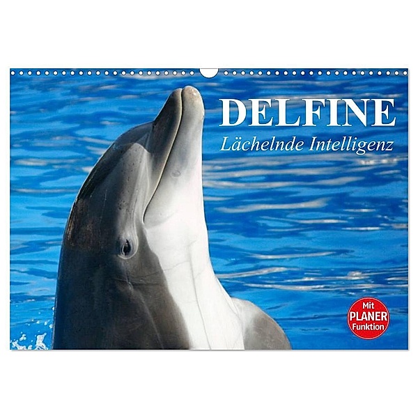 Delfine - Lächelnde Intelligenz (Wandkalender 2024 DIN A3 quer), CALVENDO Monatskalender, Elisabeth Stanzer