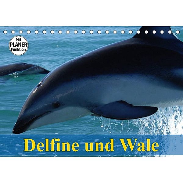 Delfine und Wale (Tischkalender 2023 DIN A5 quer), Elisabeth Stanzer