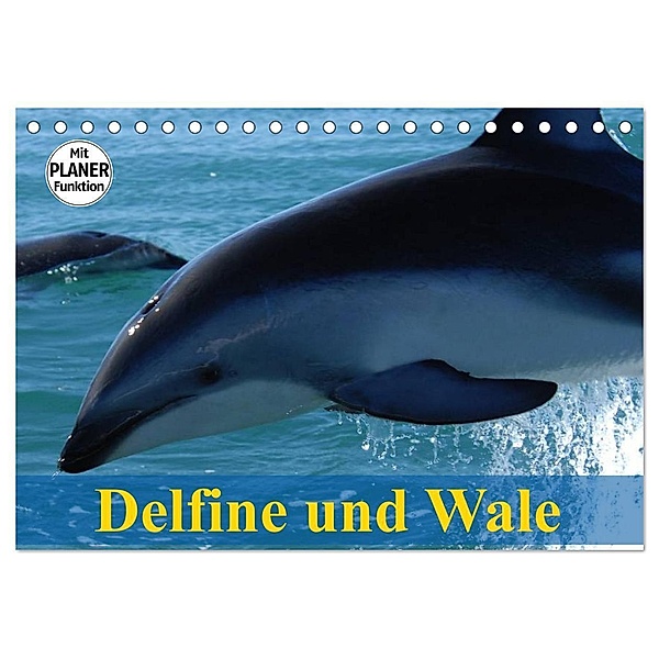 Delfine und Wale (Tischkalender 2024 DIN A5 quer), CALVENDO Monatskalender, Elisabeth Stanzer