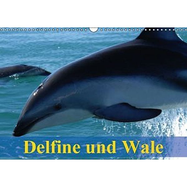 Delfine und Wale (Wandkalender 2016 DIN A3 quer), Elisabeth Stanzer