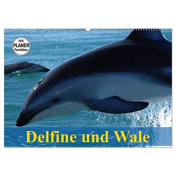 Delfine und Wale (Wandkalender 2024 DIN A2 quer), CALVENDO Monatskalender, Elisabeth Stanzer