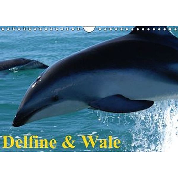 Delfine & Wale (Wandkalender 2015 DIN A4 quer), Elisabeth Stanzer