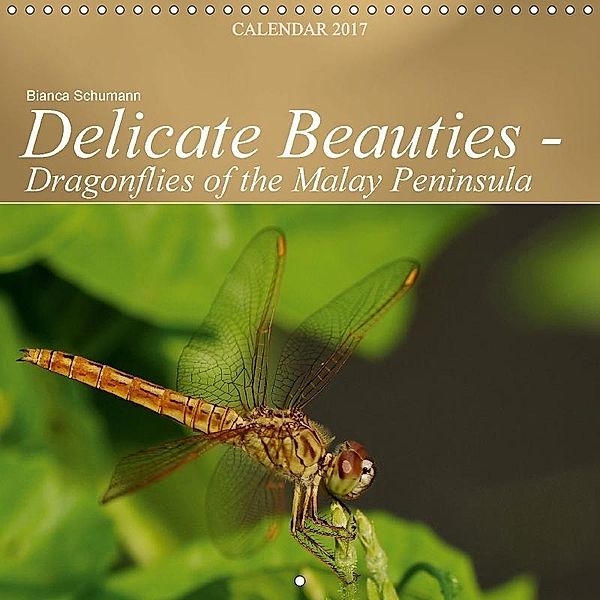 Delicate Beauties - Dragonflies of the Malay Peninsula (Wall Calendar 2017 300 × 300 mm Square), Bianca Schumann