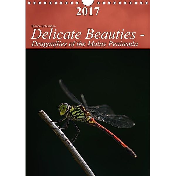 Delicate Beauties - Dragonflies of the Malay Peninsula (Wall Calendar 2017 DIN A4 Portrait), Bianca Schumann