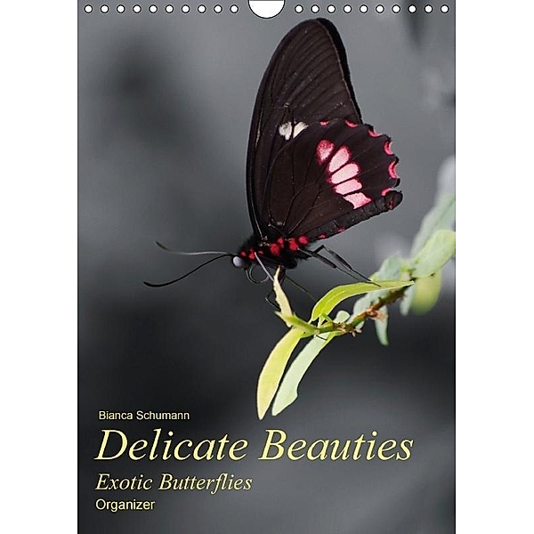 Delicate Beauties Exotic Butterflies / UK-Version / Organizer (Wall Calendar 2017 DIN A4 Portrait), Bianca Schumann