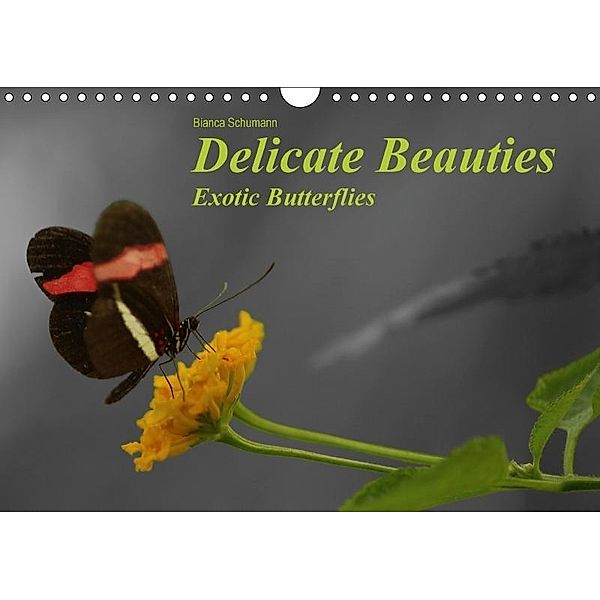 Delicate Beauties Exotic Butterflies / UK-Version (Wall Calendar 2017 DIN A4 Landscape), Bianca Schumann