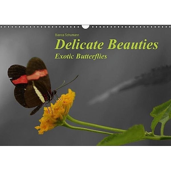 Delicate Beauties Exotic Butterflies / UK-Version (Wall Calendar 2017 DIN A3 Landscape), Bianca Schumann