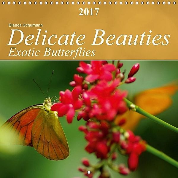 Delicate Beauties Exotic Butterflies (Wall Calendar 2017 300 × 300 mm Square), Bianca Schumann