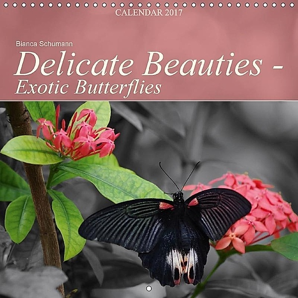 Delicate Beauties - Exotic Butterflies (Wall Calendar 2017 300 × 300 mm Square), Bianca Schumann