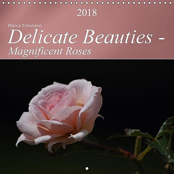 Delicate Beauties - Magnificent Roses (Wall Calendar 2018 300 × 300 mm Square), Bianca Schumann