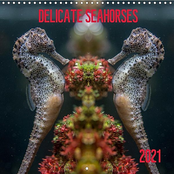 Delicate seahorses (Wall Calendar 2021 300 × 300 mm Square), Hans Jörg Leth
