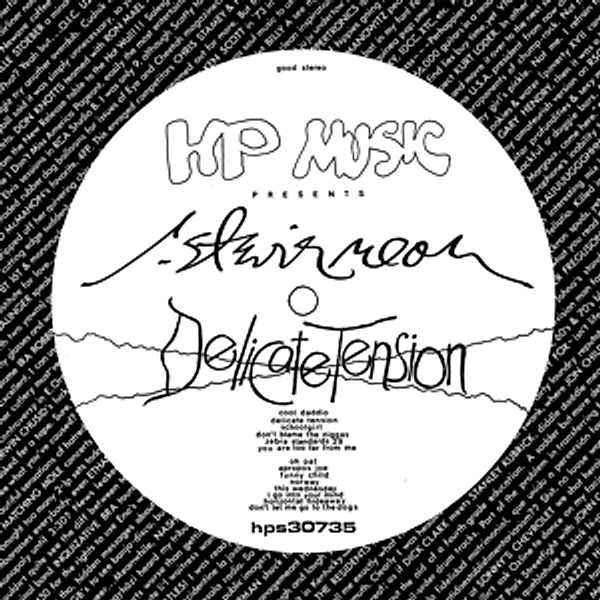 Delicate Tension (Vinyl), R.stevie Moore