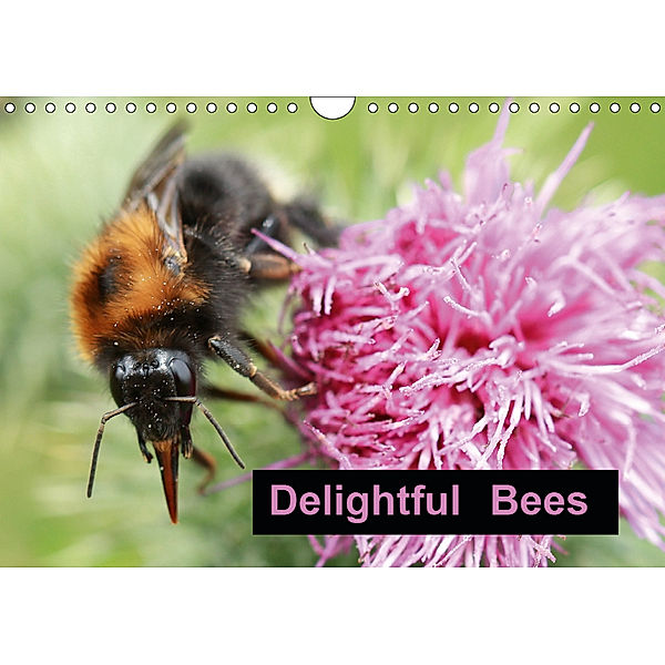 Delightful Bees (Wall Calendar 2019 DIN A4 Landscape), Rachel Travis