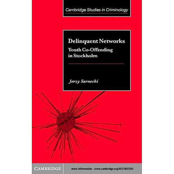 Delinquent Networks, Jerzy Sarnecki