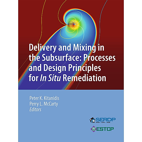 Delivery and Mixing in the Subsurface