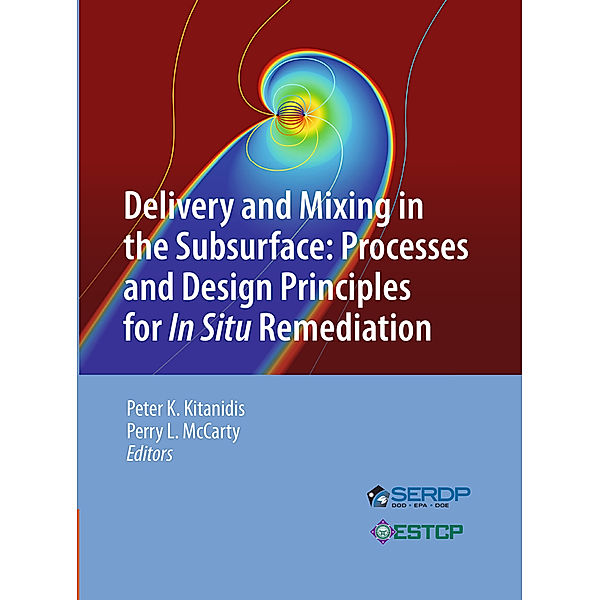 Delivery and Mixing in the Subsurface