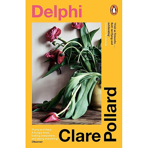 Delphi, Clare Pollard