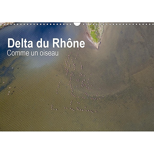 Delta du Rhône - Comme un oiseau (Calendrier mural 2021 DIN A3 horizontal), Didier Steyaert