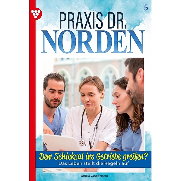 Dem Schicksal ins Getriebe greifen? / Praxis Dr. Norden Bd.5, Patricia Vandenberg