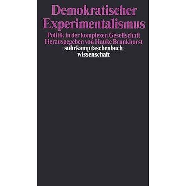 Demokratischer Experimentalismus, Hauke Brunkhorst