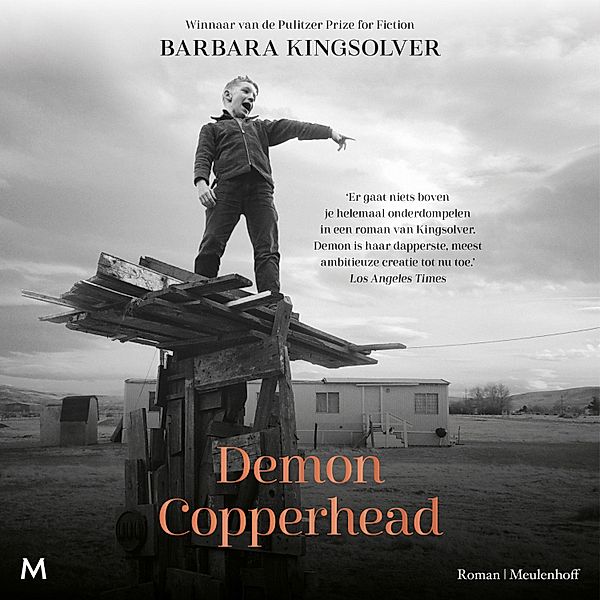 Demon Copperhead, Barbara Kingsolver