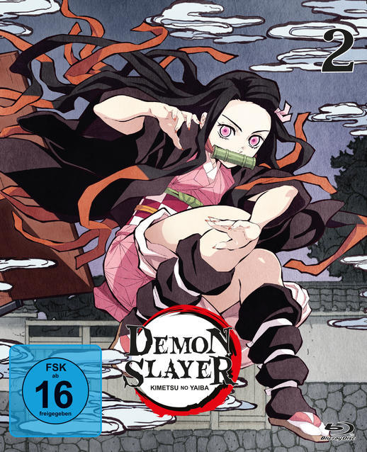Image of Demon Slayer - Staffel 1 - Vol. 2