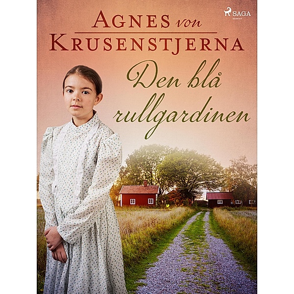 Den blå rullgardinen / Fröknarna von Pahlen Bd.1, Agnes von Krusenstjerna