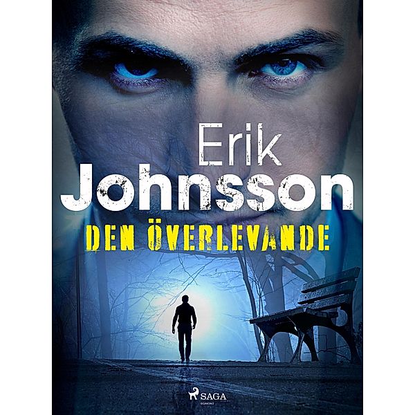 Den överlevande / Kriminalinspektör Lars Cleve Bd.2, Erik Johnsson