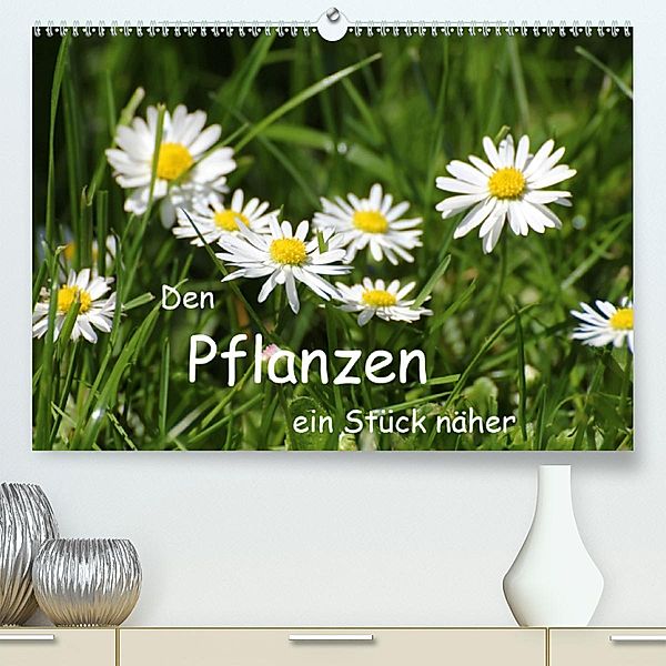 Den Pflanzen ein Stück näher(Premium, hochwertiger DIN A2 Wandkalender 2020, Kunstdruck in Hochglanz), Manfred Zajac