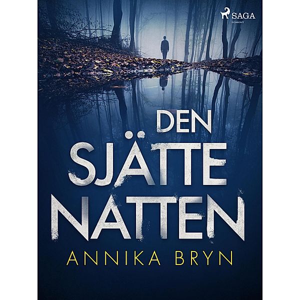 Den sjätte natten / Margareta Davidsson Bd.1, Annika Bryn