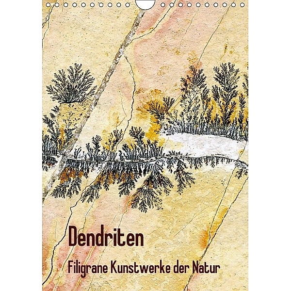 Dendriten - Filigrane Kunstwerke der Natur (Wandkalender 2017 DIN A4 hoch), Gerhard Zinn