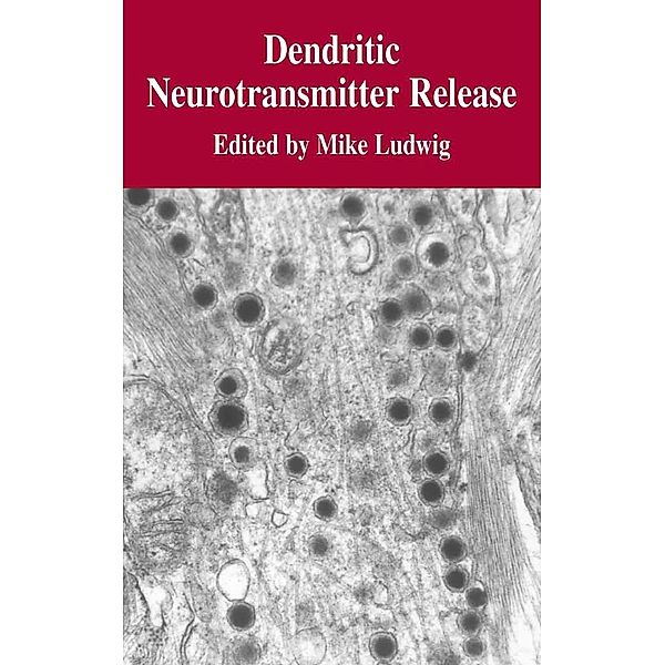 Dendritic Neurotransmitter Release