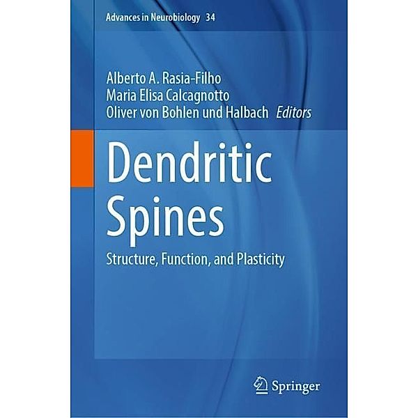 Dendritic Spines