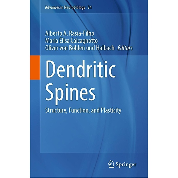 Dendritic Spines / Advances in Neurobiology Bd.34