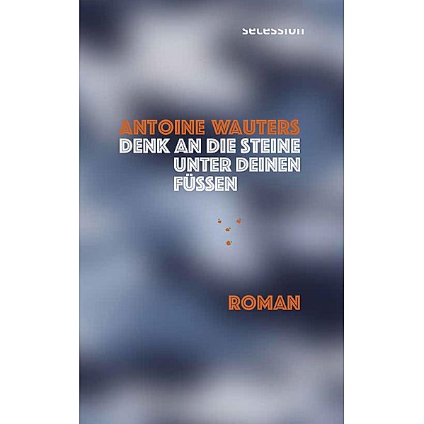 Denk an die Steine unter Deinen Füssen, Antoine Wauters