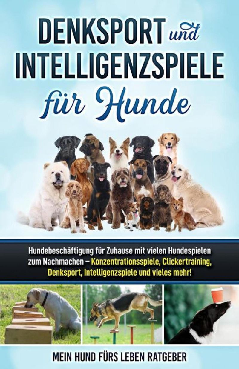 Denksport und Intelligenzspiele für Hunde eBook v. Mein Hund fürs Leben  Ratgeber | Weltbild