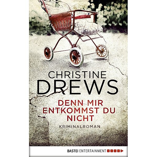 Denn mir entkommst du nicht / Schneidmann & Käfer Bd.4, Christine Drews