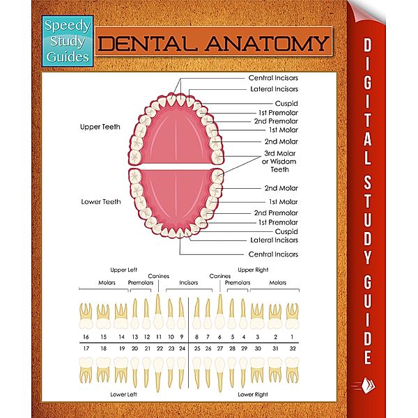 Dental Anatomy, Speedy Publishing