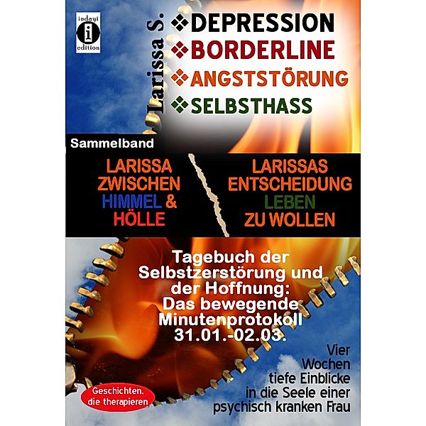 DEPRESSION - BORDERLINE - ANGSTSTÖRUNG - SELBSTHASS: Sammelband, Larissa S.