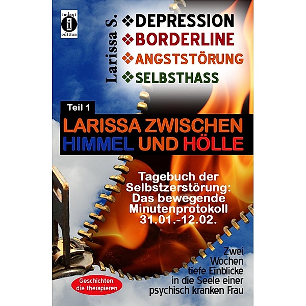 DEPRESSION - BORDERLINE - ANGSTSTÖRUNG - SELBSTHASS: Larissa zwischen Himmel und Hölle / DEPRESSION - BORDERLINE - ANGSTSTÖRUNG - SELBSTHASS Bd.1, Larissa S.