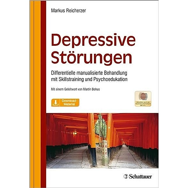 Depressive Störungen, Markus Reicherzer