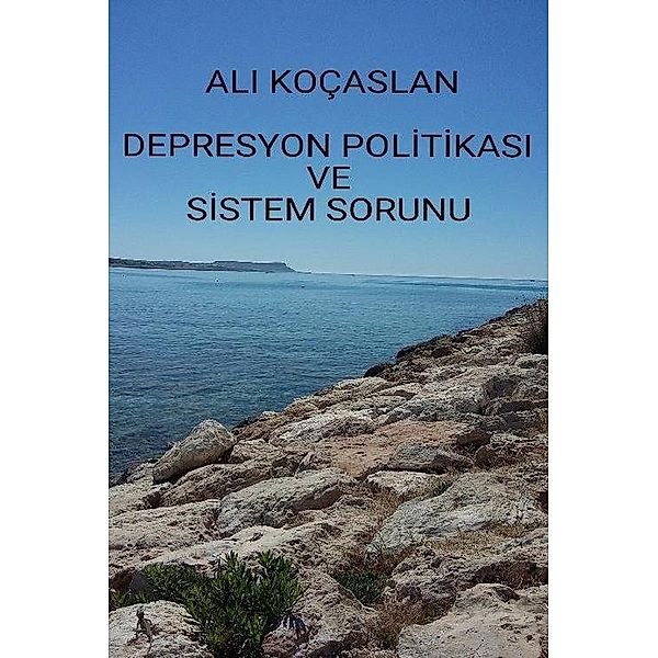 Depresyon politikasi ve sistem sorunu, Ali Kocaslan