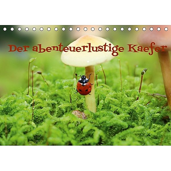 Der abenteuerlustige Käfer (Tischkalender 2018 DIN A5 quer), Heike Hultsch