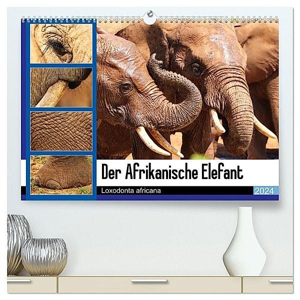 Der Afrikanische Elefant - Loxodonta africana (hochwertiger Premium Wandkalender 2024 DIN A2 quer), Kunstdruck in Hochglanz, Barbara Fraatz