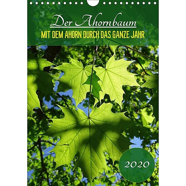 Der Ahornbaum - Mit dem Ahorn durch das ganze Jahr. (Wandkalender 2020 DIN A4 hoch), Capitana Art/D. K. Benkwitz